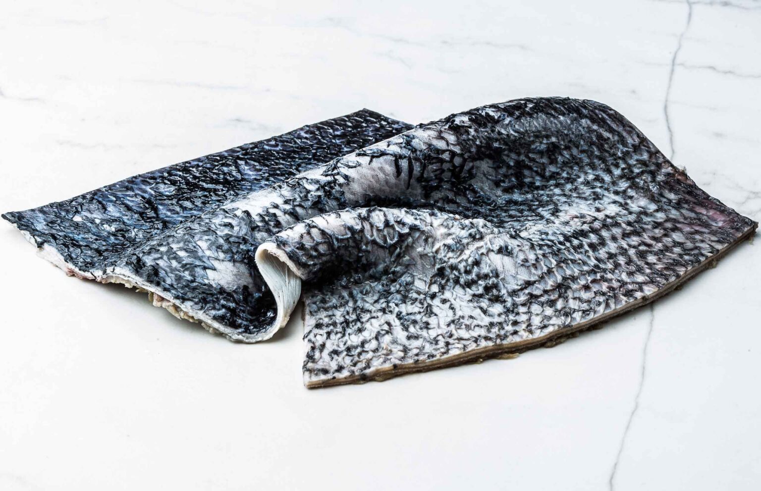 Reasons to be dazzled by tuna skin Fuentes