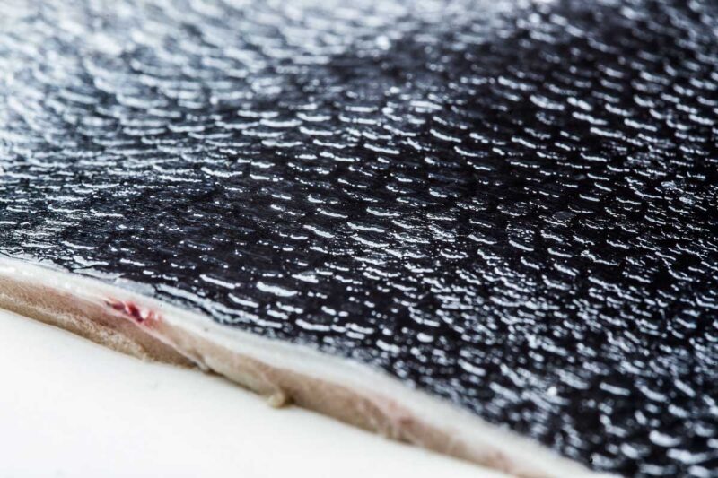 Reasons to be dazzled by tuna skin Fuentes