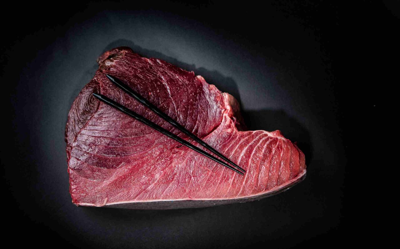 atún rojo, rey del sushi